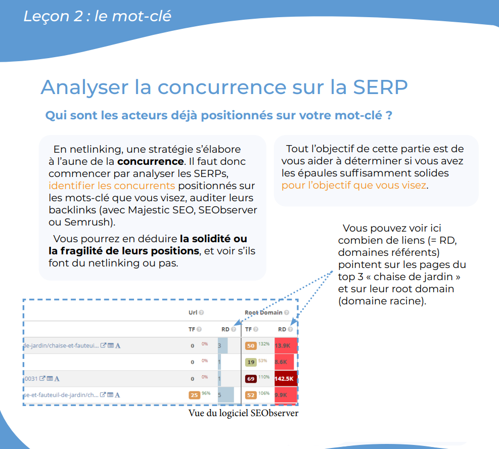 livre blanc semjuice netlinking google