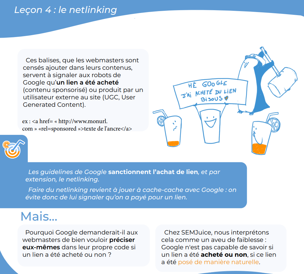 livre blanc semjuice netlinking google