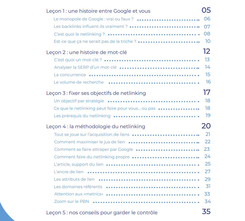 livre blanc semjuice netlinking google